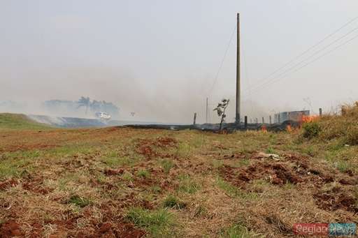 Com ajuda de fazendeiros, bombeiros conseguem controlar queimada em pasto na Fazenda Exposição - Imagem da galeria de imagens