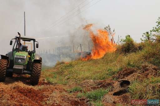 Com ajuda de fazendeiros, bombeiros conseguem controlar queimada em pasto na Fazenda Exposição - Imagem da galeria de imagens