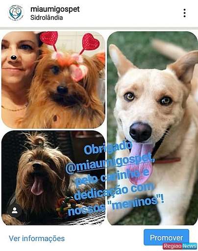 Professora transforma amor por bichos em profissão e vira babá de animais - Imagem da galeria de imagens