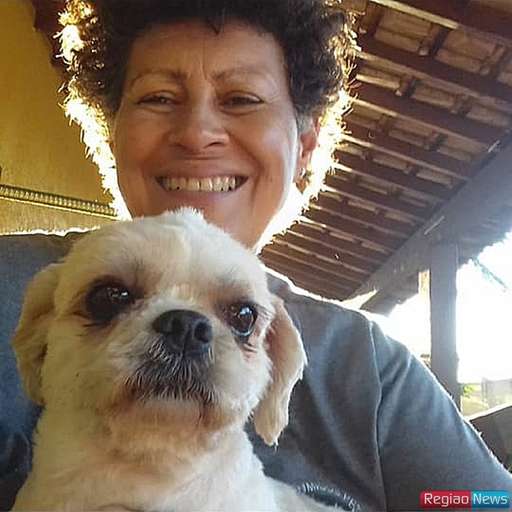 Professora transforma amor por bichos em profissão e vira babá de animais - Imagem da galeria de imagens