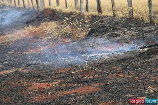 Com ajuda de fazendeiros, bombeiros conseguem controlar queimada em pasto na Fazenda Exposição - Imagem da galeria de imagens