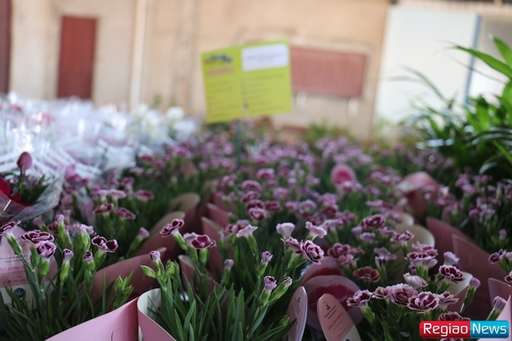 Sidrolândia recebe edição de exposição de flores e plantas ornamentais de Holambra - Imagem da galeria de imagens
