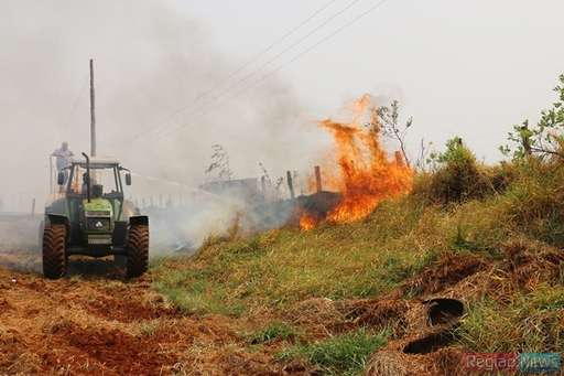 Com ajuda de fazendeiros, bombeiros conseguem controlar queimada em pasto na Fazenda Exposição - Imagem da galeria de imagens