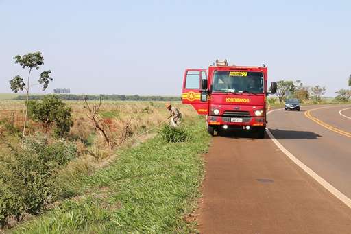 Motorista perde a direção de veículo e capota na BR-060 - Imagem da galeria de imagens