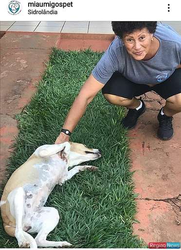 Professora transforma amor por bichos em profissão e vira babá de animais - Imagem da galeria de imagens