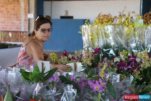 Sidrolândia recebe edição de exposição de flores e plantas ornamentais de Holambra - Imagem da galeria de imagens