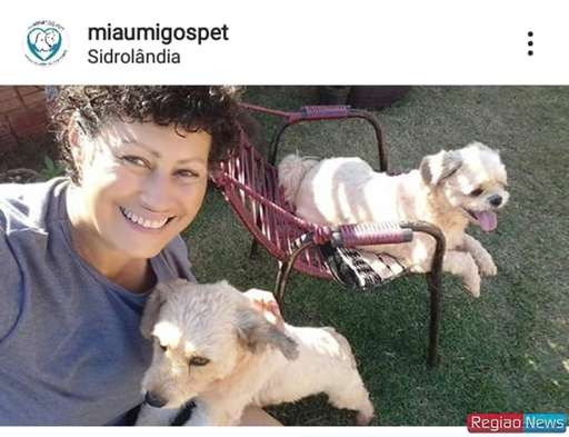 Professora transforma amor por bichos em profissão e vira babá de animais - Imagem da galeria de imagens