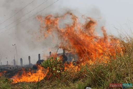 Com ajuda de fazendeiros, bombeiros conseguem controlar queimada em pasto na Fazenda Exposição - Imagem da galeria de imagens