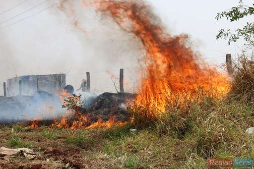 Com ajuda de fazendeiros, bombeiros conseguem controlar queimada em pasto na Fazenda Exposição - Imagem da galeria de imagens