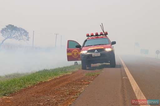 Com ajuda de fazendeiros, bombeiros conseguem controlar queimada em pasto na Fazenda Exposição - Imagem da galeria de imagens