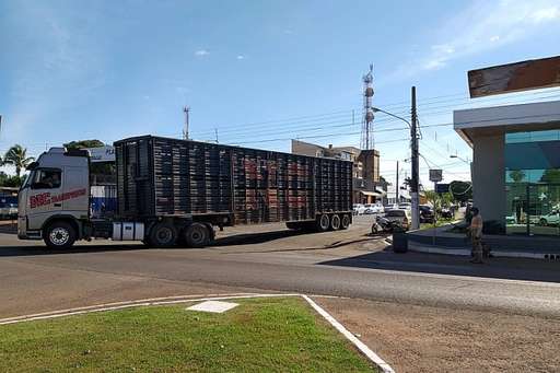 Carreta arrebenta cabo telefônico e interdita trecho da Dorvalino dos Santos - Imagem da galeria de imagens