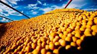 Anec eleva previs&atilde;o de exporta&ccedil;&otilde;es de soja em abril, para at&eacute; 14,34 mi de toneladas