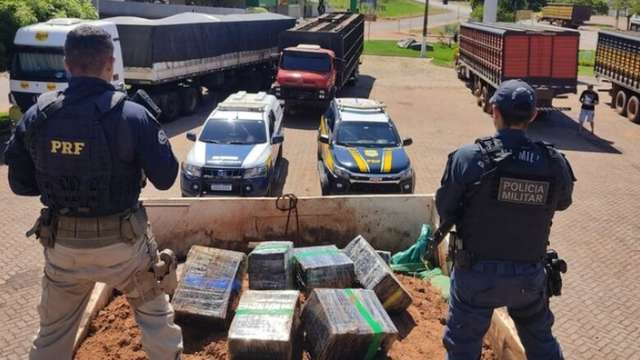 Prf E Pm Realizam Maior Apreens O De Maconha Do Ano Em Jardim