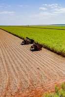 Tempo desfavorável reduz desempenho da safra de cana no Centro-Sul