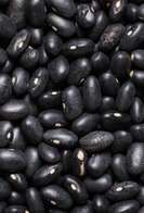 Brasil amplia mercados e conquista novas aberturas no Oriente Médio