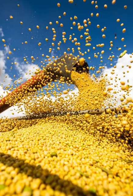 Brasil estima colheita de 354,8 milhões de toneladas de grãos