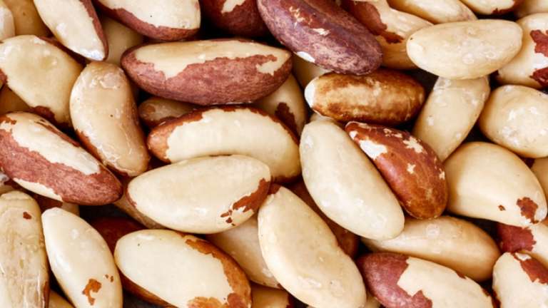 Brasil abre exportação de castanha-do-Brasil à Turquia