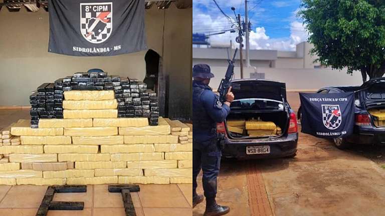 Em seis dias, Força Tática apreende na zona rural mais de 1,6 tonelada de maconha