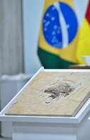 Brasil quer recuperar dinossauros e patrimônios que estão em 14 países