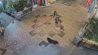 Urso que manteve cidade japonesa em alerta por quatro dias é capturado
