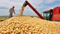IBGE prevê safra de 29,1 milhões de toneladas de cereais, leguminosas e oleaginosas em MS