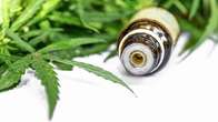 Uso da cannabis medicinal no SUS será debatido na Câmara de Campo Grande