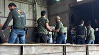 Polícia incinera quase 20t de drogas na região de fronteira