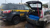 Homem é preso com 238 quilos de maconha na BR-267