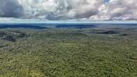 Desmatamento na Amazônia e no Cerrado continua em queda em junho, aponta Inpe
