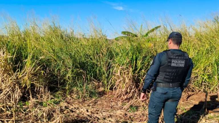 Corpo em decomposição é encontrado em Itahum