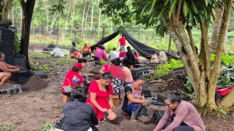 Mulheres da Amazônia enfrentam mudanças climáticas