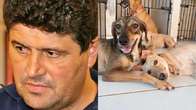 Ao acusar reportagem de 'fake news', prefeito acaba desmentido pelos fatos, reconhece atraso e faz doação de R$ 100 ao abrigo dos animais