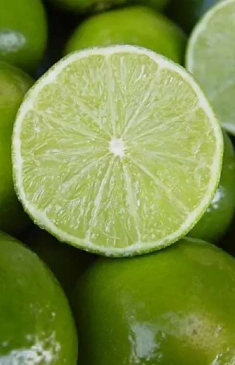Oferta derruba preço da laranja e impulsiona valorização da tahiti
