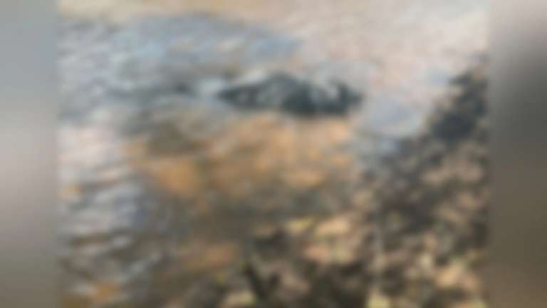 Trabalhador que desapareceu em draga de areia é encontrado morto