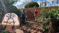 Acusados de assassinar e ocultar o corpo de Magno vão a júri popular a partir das 9 horas desta quinta-feira
