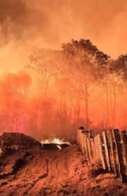 Sem chuva e com baixa umidade do ar, área queimada no Pantanal aumenta 770% em 2026