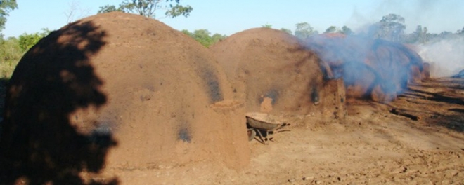 PMA fecha carvoaria ilegal e aplica multa de R$ 5 mil em Miranda