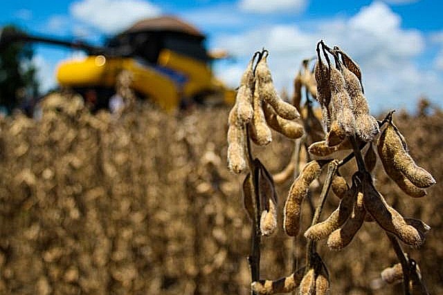 ExportaÃ§Ã£o de soja pelo Estado deve crescer 261% na dÃ©cada, diz estudo