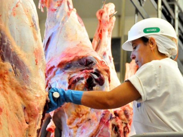 IndÃºstria de MS avanÃ§a na produÃ§Ã£o de etanol e carnes e movimenta R$ 12,9 bilhÃµes