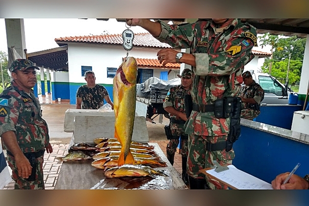 Multa para quem pescar dourado serÃ¡ de R$ 2,7 mil na prÃ³xima temporada de pesca