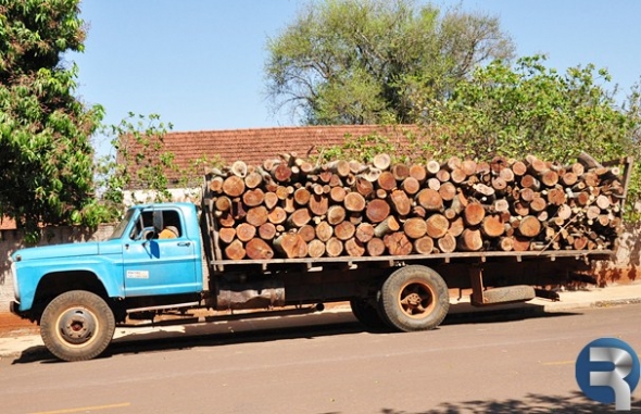PMA prende carregamento ilegal de madeira em SidrolÃ¢ndia