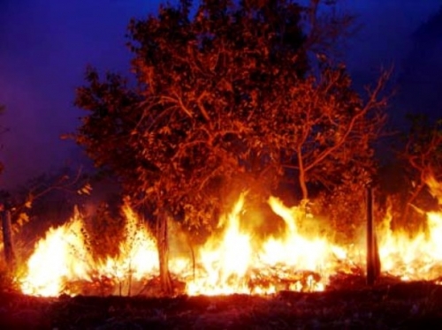 Bombeiros alertam para atitudes que provocam incÃªndios em rodovias e assentamentos