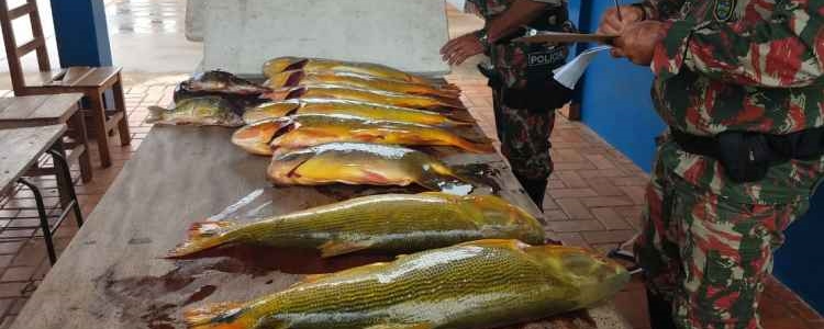 PMA apreende 614 kg de pescado em operaÃ§Ã£o prÃ©-piracema