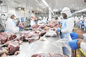 ProduÃ§Ã£o do complexo carne em MS tem alta de atÃ© 31% em janeiro