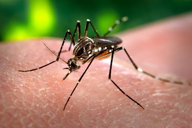 Em 2019, MS notifica um novo caso de dengue a cada 13 minutos