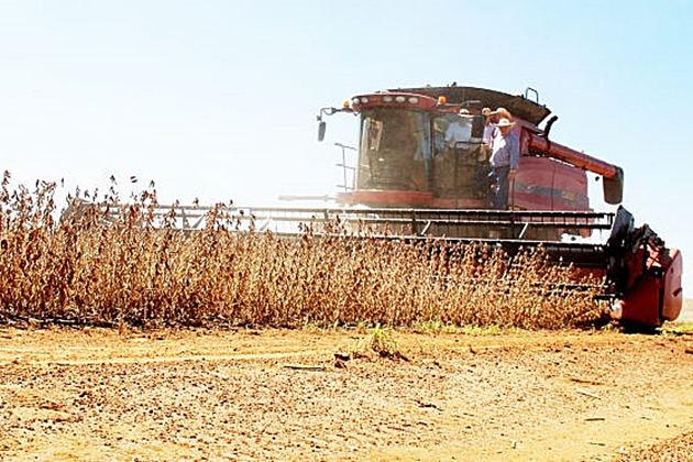 Plantio da Safra 2018/19 de milho deve atingir 9 milhÃµes de toneladas em MS