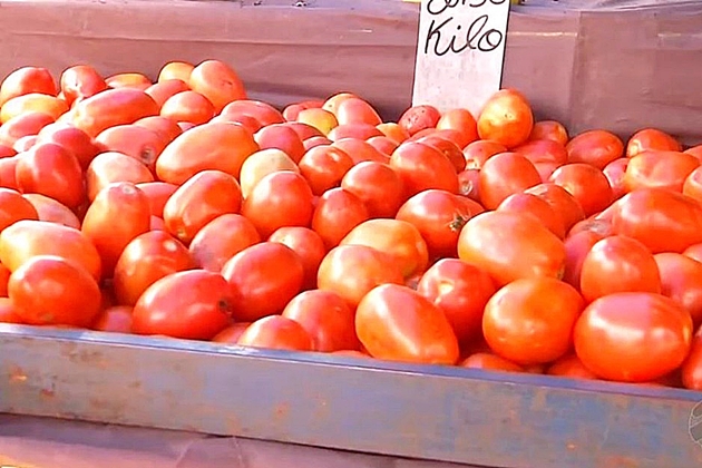 PreÃ§o do tomate dispara no paÃ­s e pode atingir valores histÃ³ricos em abril