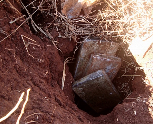 Guarda Municipal encontra tabletes de maconha escondidos em buracos de tatu