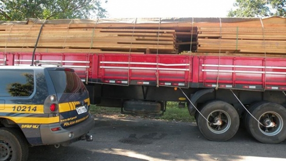 Em menos de 48h PRF apreende trÃªs cargas de madeira irregular