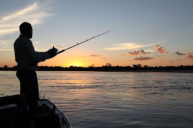 Cota zero para pesca amadora sÃ³ vai entrar em vigor em 2020